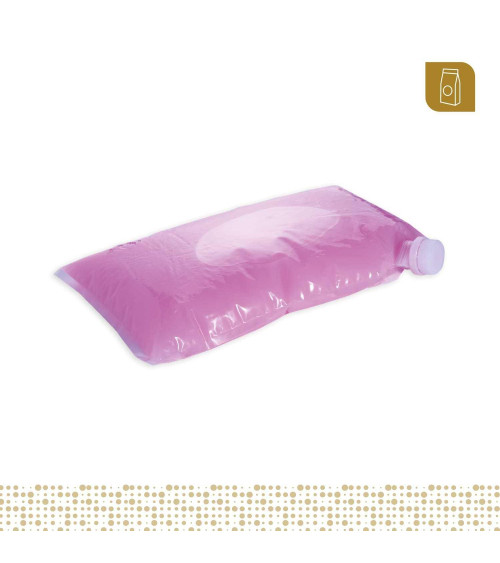 Funda tipo cojín 25x35 transparente con válvula para líquidos y pastosos para 3 Lt