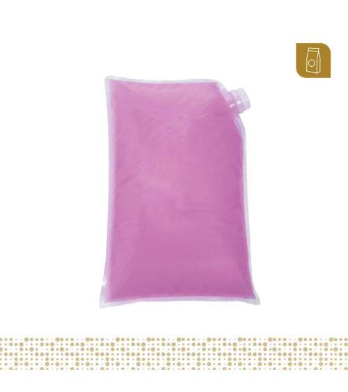 Funda tipo cojín 25x35 transparente con válvula para líquidos y pastosos para 3 Lt